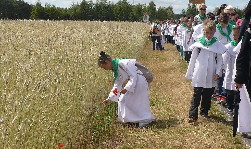 Pielgrzymka dzieci pierwszokomunijnych do Świnic Warckich (zapowiedź)