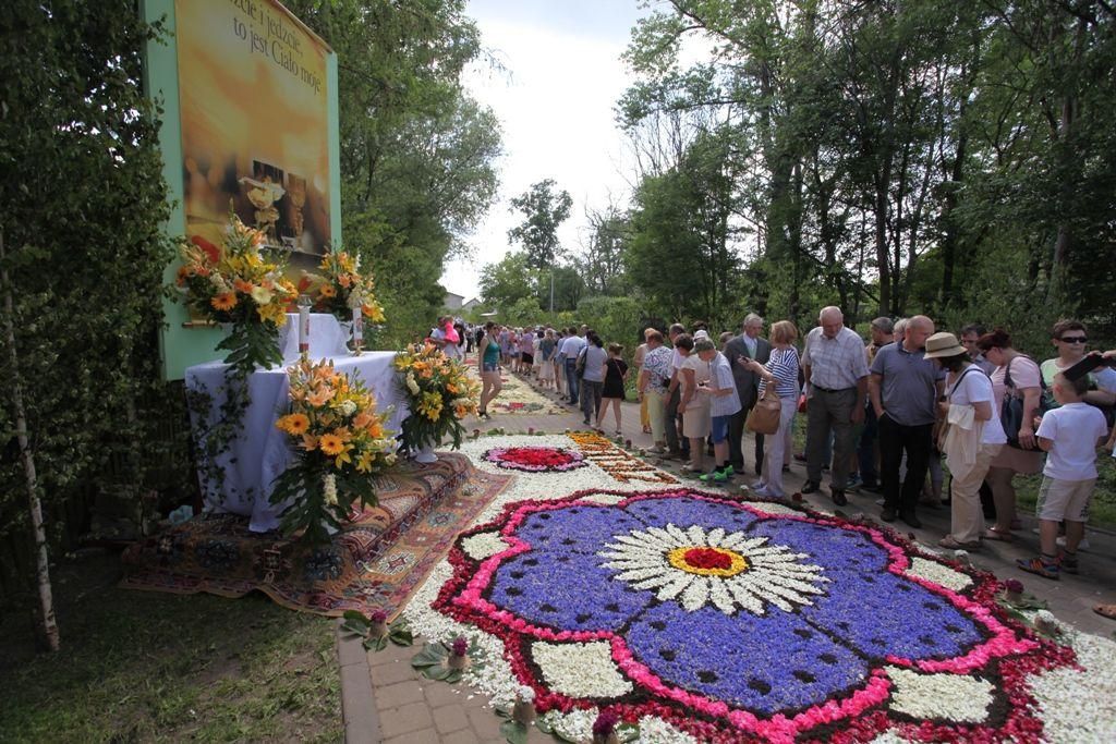 Czy kwietne dywany ze Spycimierza trafią na światową listę UNESCO?